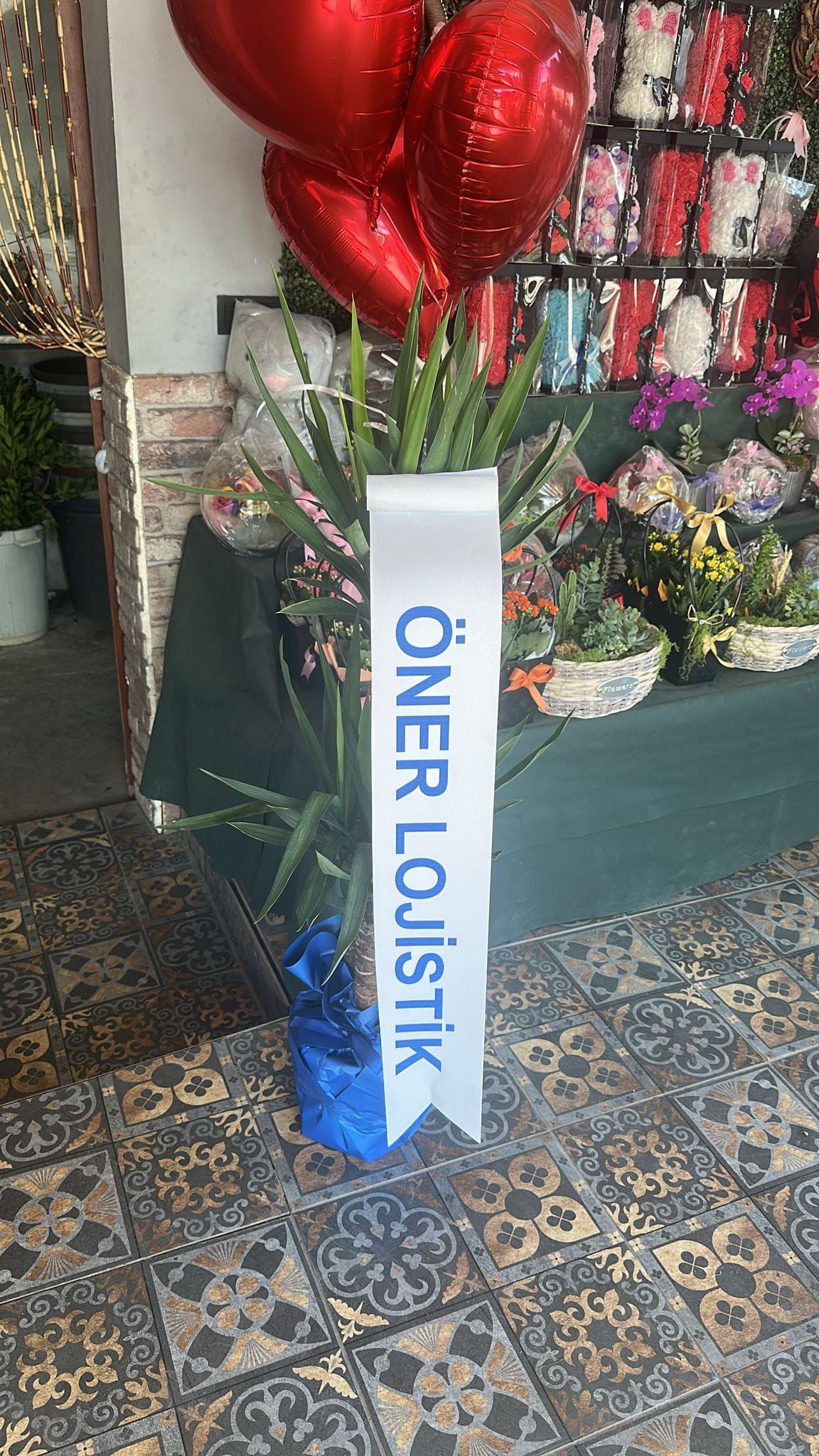 İthal İkili Yucca